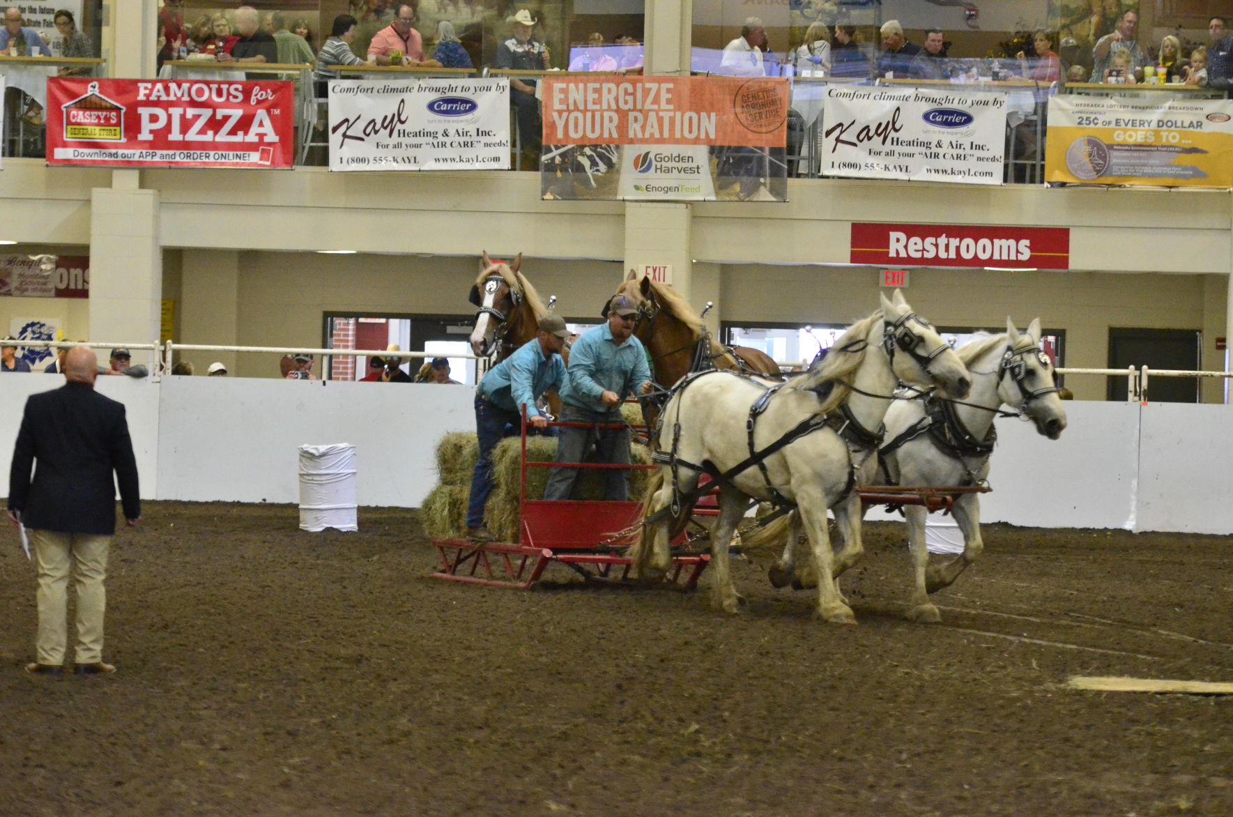 8-25-19 Draft Horse Hitch Final (15).JPG